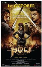 Puli
